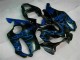 Azul Llamas Carenado Honda CBR 600 F4i 01-03 Azul Llamas Carenado Honda CBR 600 F4i 01-03