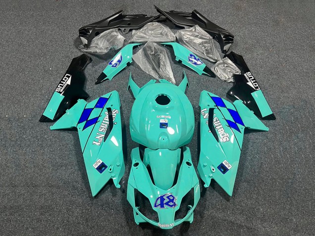Carenados Moto Aprilia RS125 2006-2011 - Verde Menta Spains No1 48