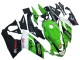Carenado Moto Aprilia RS125 2006-2011 - Verde Blanco Negro