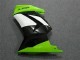 Carenados Moto Kawasaki EX250 2008-2012 - Verde Blanco Negro