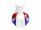 Carenado Moto Honda CBR1000RR 2006-2007 - Blanco Rojo Azul HRC