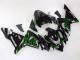 Carenados Moto Kawasaki ZX10R 2004-2005 - Negro Verde Llama Ninja