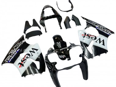 Carenados Moto Kawasaki ZX6R 2000-2002 - Negro Brillante Blanco West Michelin