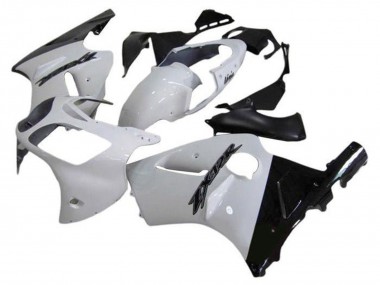 Carenados Moto Kawasaki ZX12R 2002-2006 - Blanco Negro Brillante