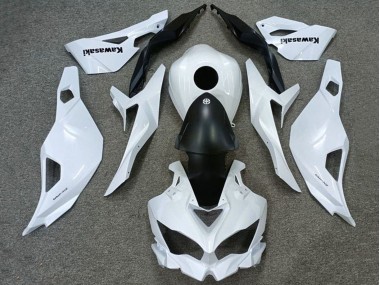 Carenados Moto Kawasaki ZX4R ZX-4RR 2019-2025 - Blanco Negro Mate