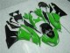 Negro Verde Kit Carenado Inyección Kawasaki ZX6R 09-12 Negro Verde Kit Carenado Inyección Kawasaki ZX6R 09-12