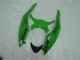 Negro Verde Kit Carenado Inyección Kawasaki ZX6R 09-12 Negro Verde Kit Carenado Inyección Kawasaki ZX6R 09-12