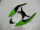 Negro Verde Roja Carenado Kawasaki ZX6R 09-12