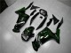 Verde Llama Carenado Kawasaki EX650 06-08 Verde Llama Carenado Kawasaki EX650 06-08